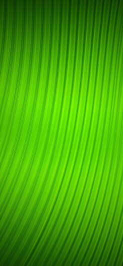 44 Green Wallpapers HD 4K 5K for PC and Mobile  Download free images  for iPhone Android