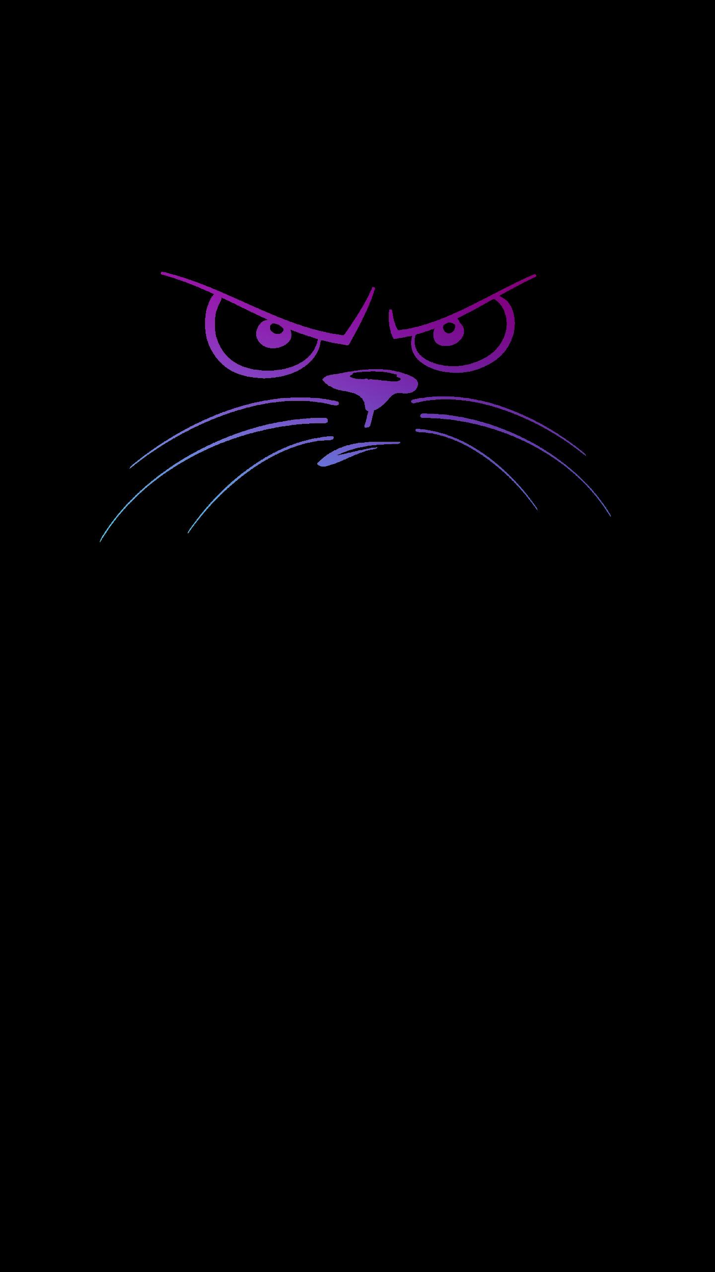 Black Cat Wallpaper For iPhone  I Photograph Black Shelter Cats