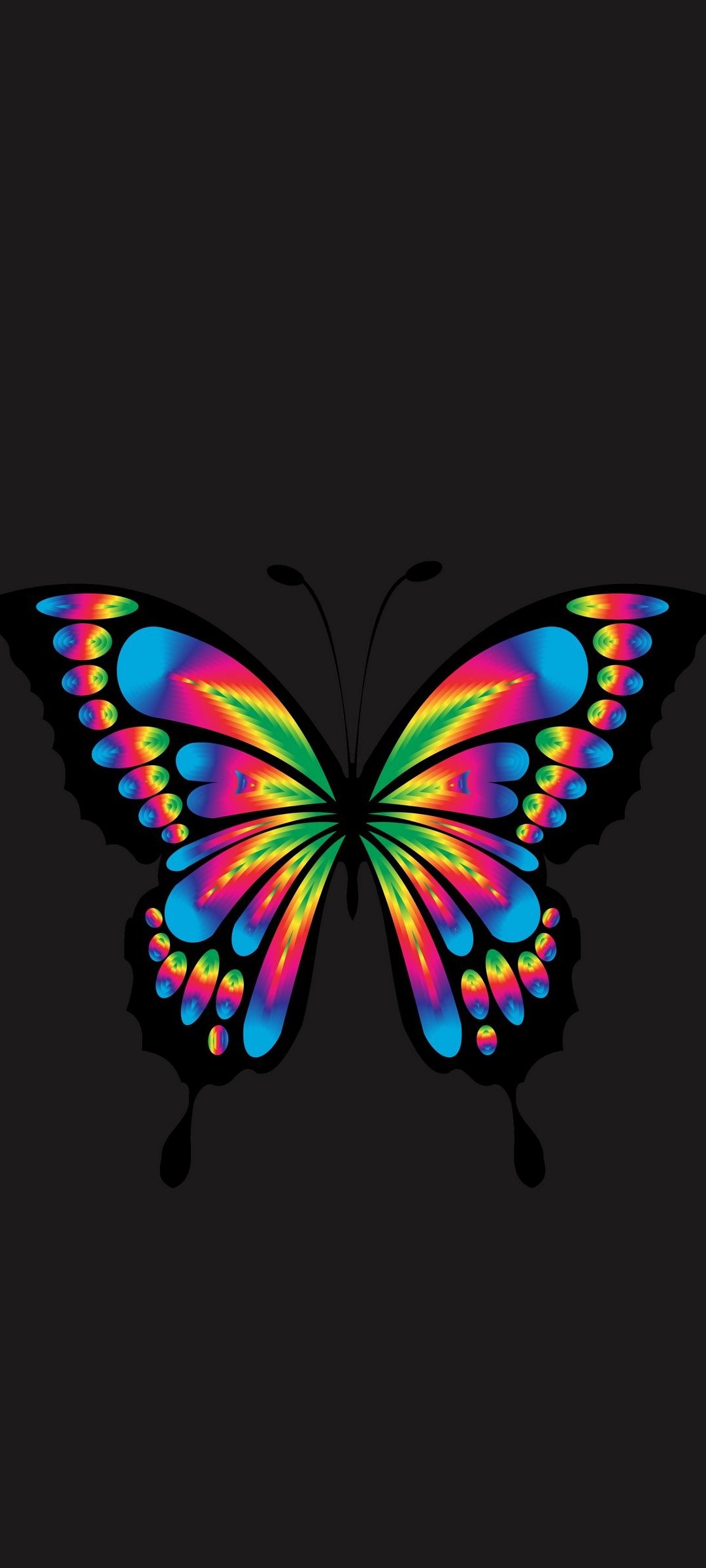 Minimalist Amoled Black Butterfly Wallpaper – S16 - Chill-out Wallpapers