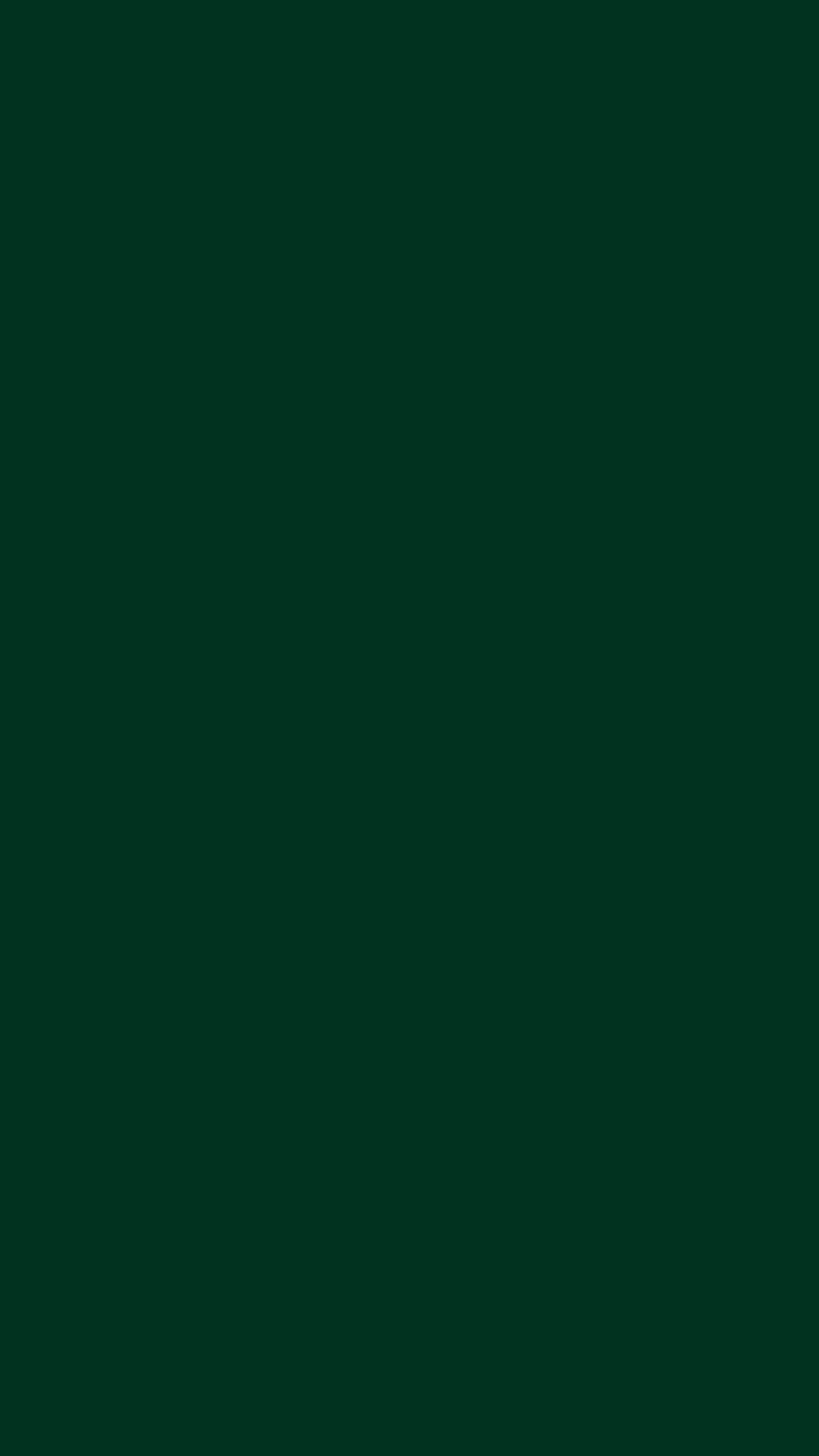 Dark Green Solid Color Background Wallpaper For Mobile – Phone - Chill-out  Wallpapers