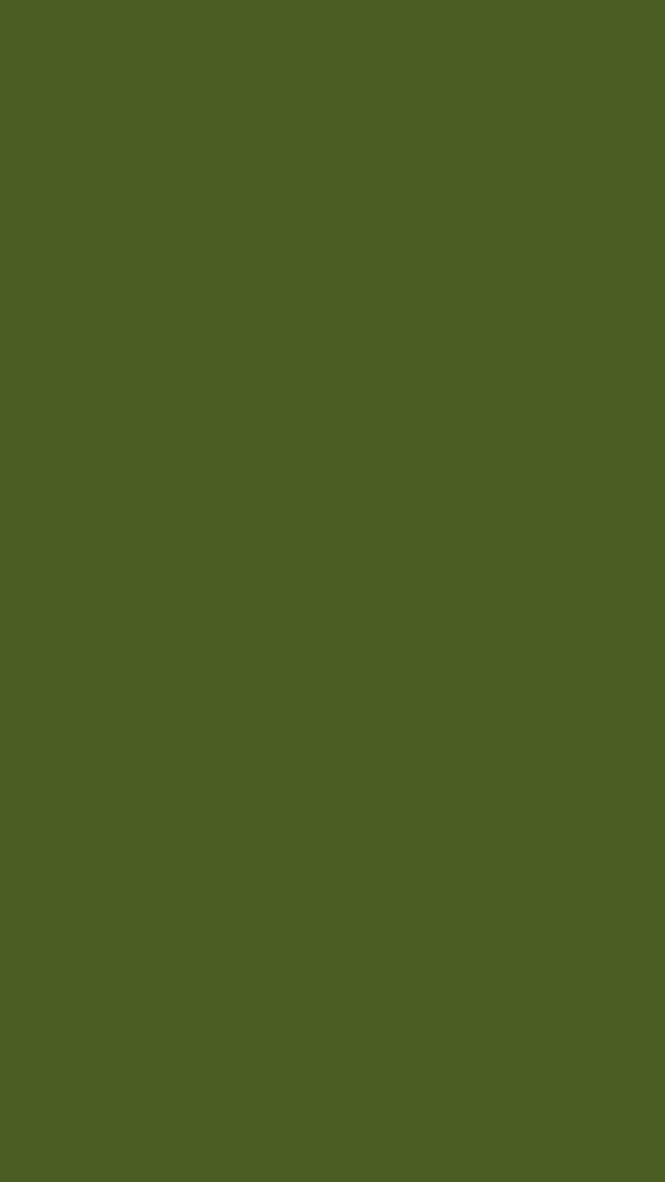 UP Forest Green Solid Color Background Olive Green HD phone wallpaper   Pxfuel